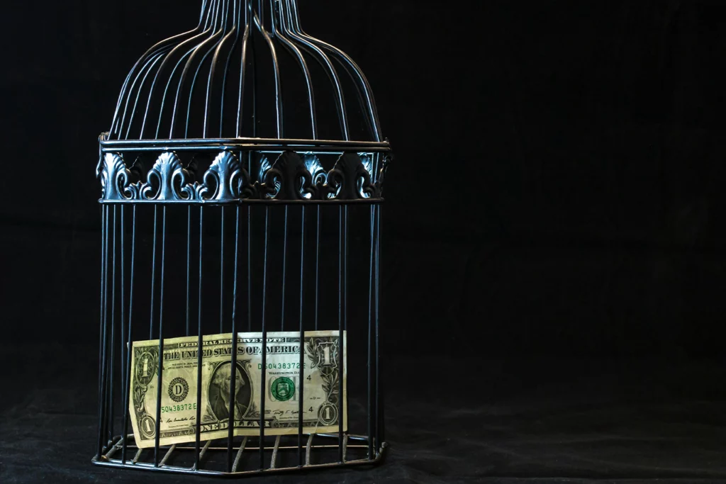 argent dans une cage