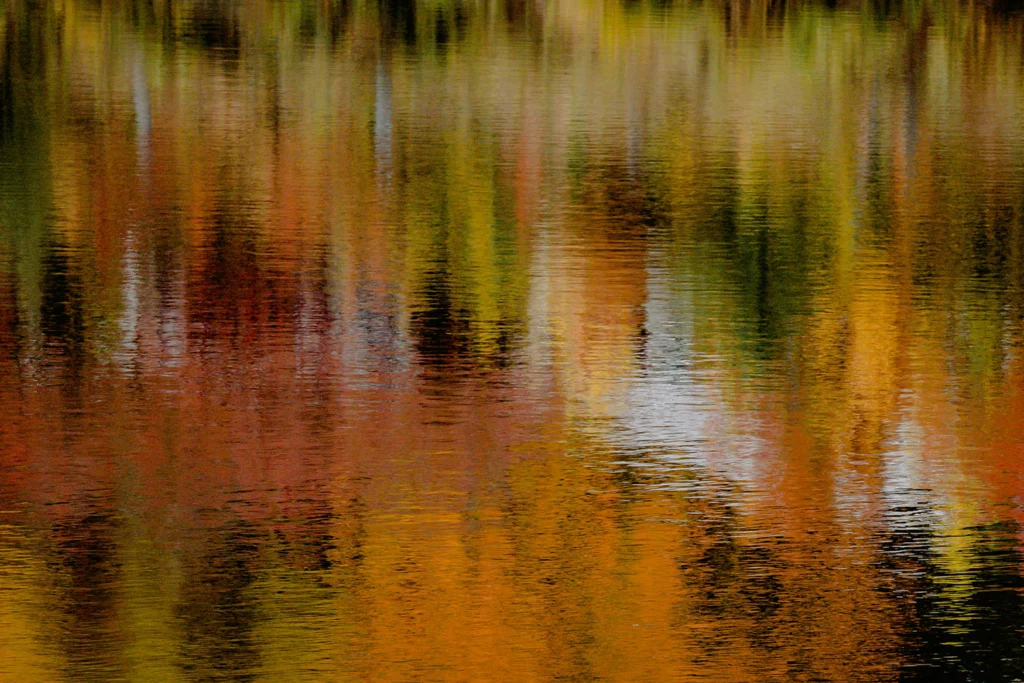 couleurs