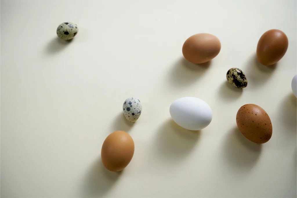 oeufs différents